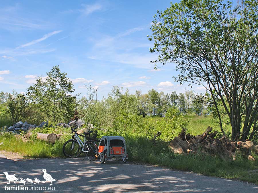 Fahrradanhänger Waldweg