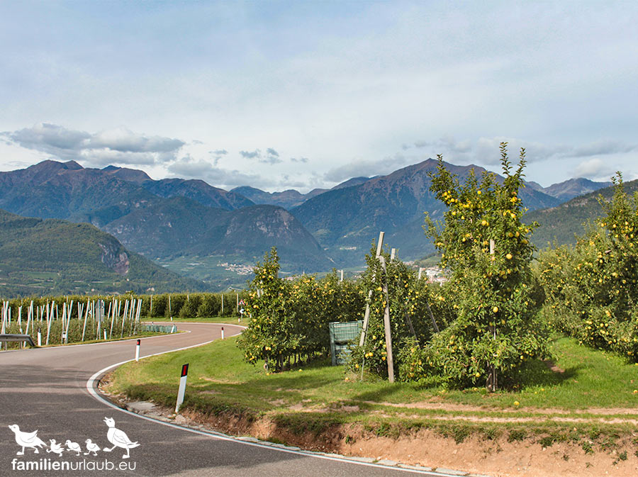 Italien-Südtirol-Äpfel-Herbst italien-aepfel-herbst