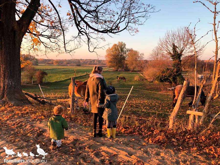 Kopie-von-Berlin_Lübars Berliner Herbst im Umland