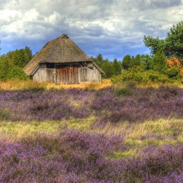 Lüneburger Heide