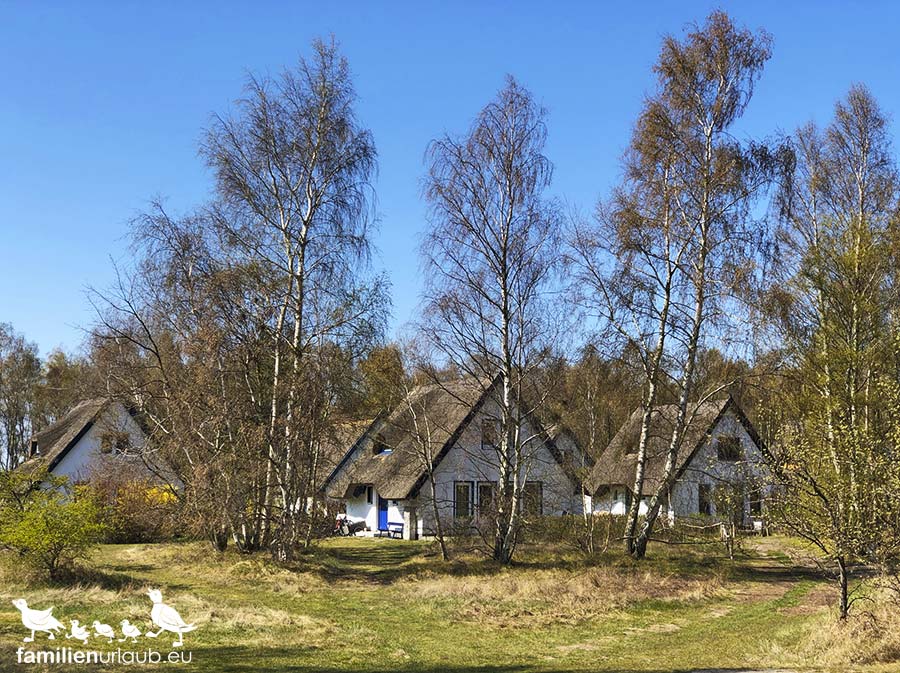 Rügen-Hiddensee-Dorf Dorf auf Hiddensee