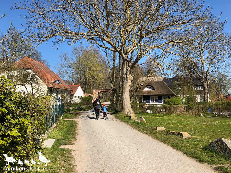 Rügen-Hiddensee Fahrradtour auf Hiddensee