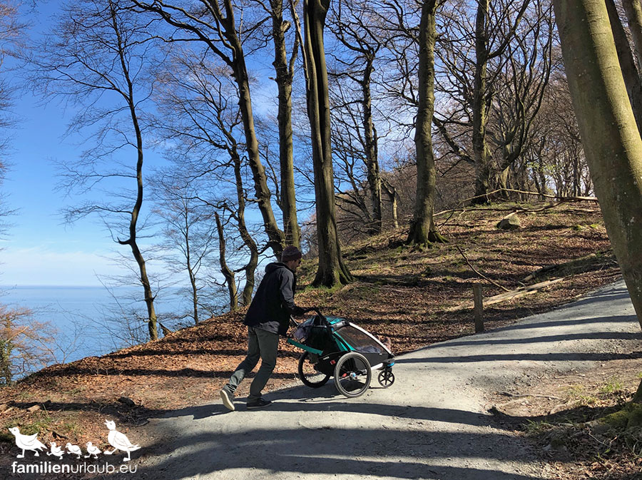 Rügen-Jasmund-Wanderung Nationalpark Jasmund Wanderung