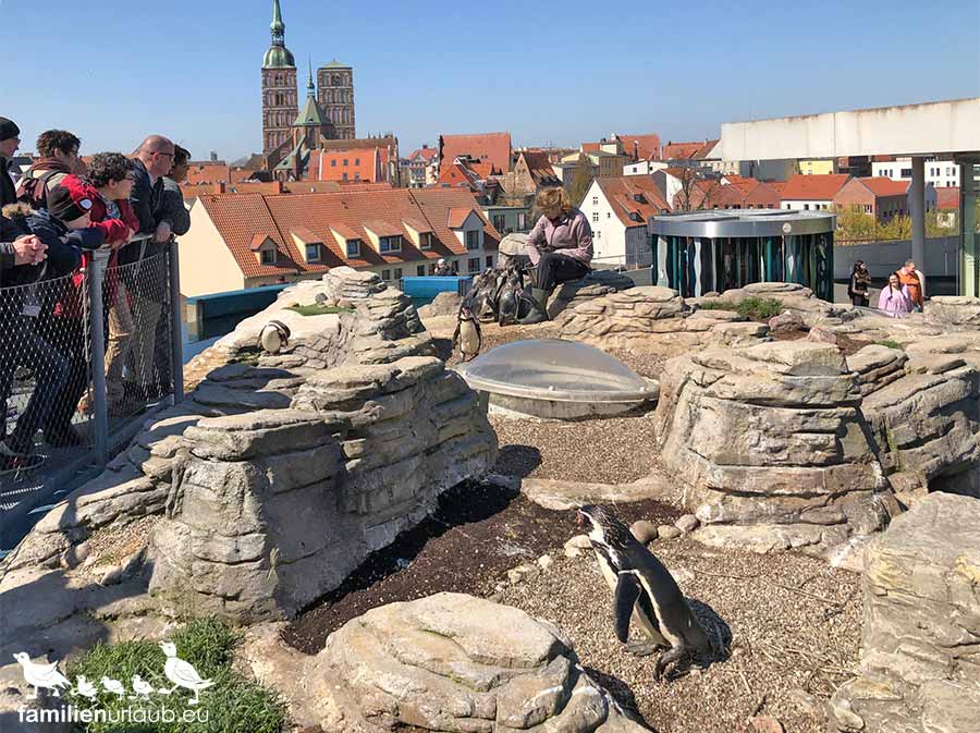 Rügen-Ozeaneum-Dachterrasse Ozeaneum in Stralsund