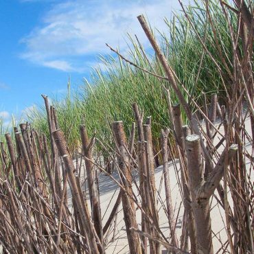 Sylt