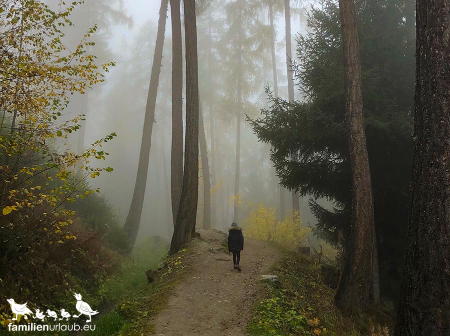 Wallis,-Bisse-de-Vex,-Herbst,-Wanderung5 Grand Bisse de Vex Wanderung