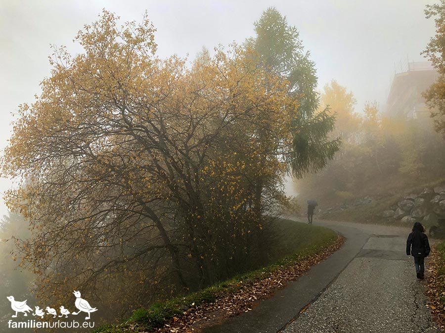 Wallis,-Herbst,-Nebel,-Wandern