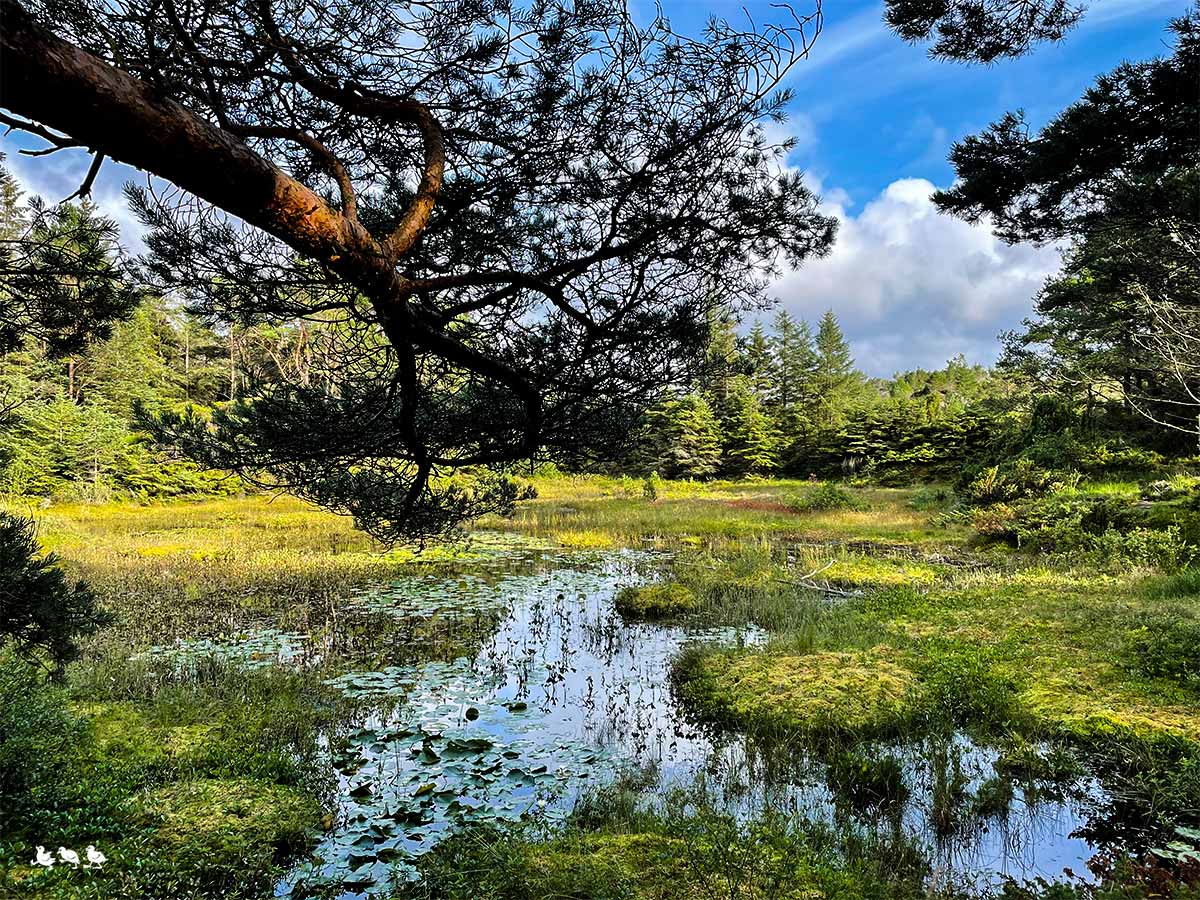 Kvalavåg Wandern